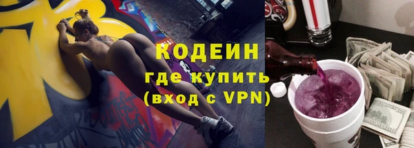 трава Няндома