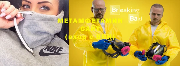 трава Няндома