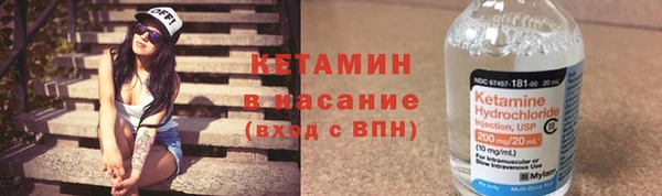 трава Няндома