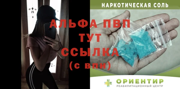 трава Няндома
