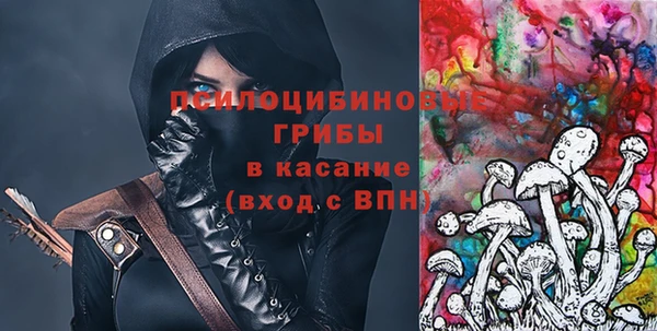 трава Няндома