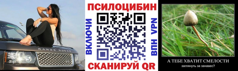 магазин продажи наркотиков  Иркутск  Галлюциногенные грибы Cubensis 