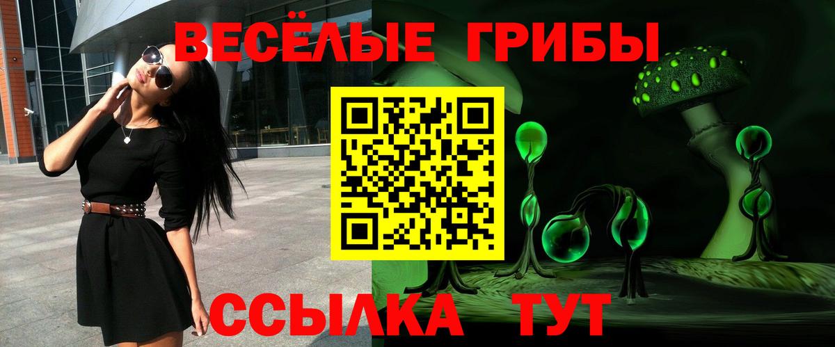 Псилоцибиновые грибы мухоморы  Вход с VPN  Иркутск  Галлюциногенные грибы мухоморы 